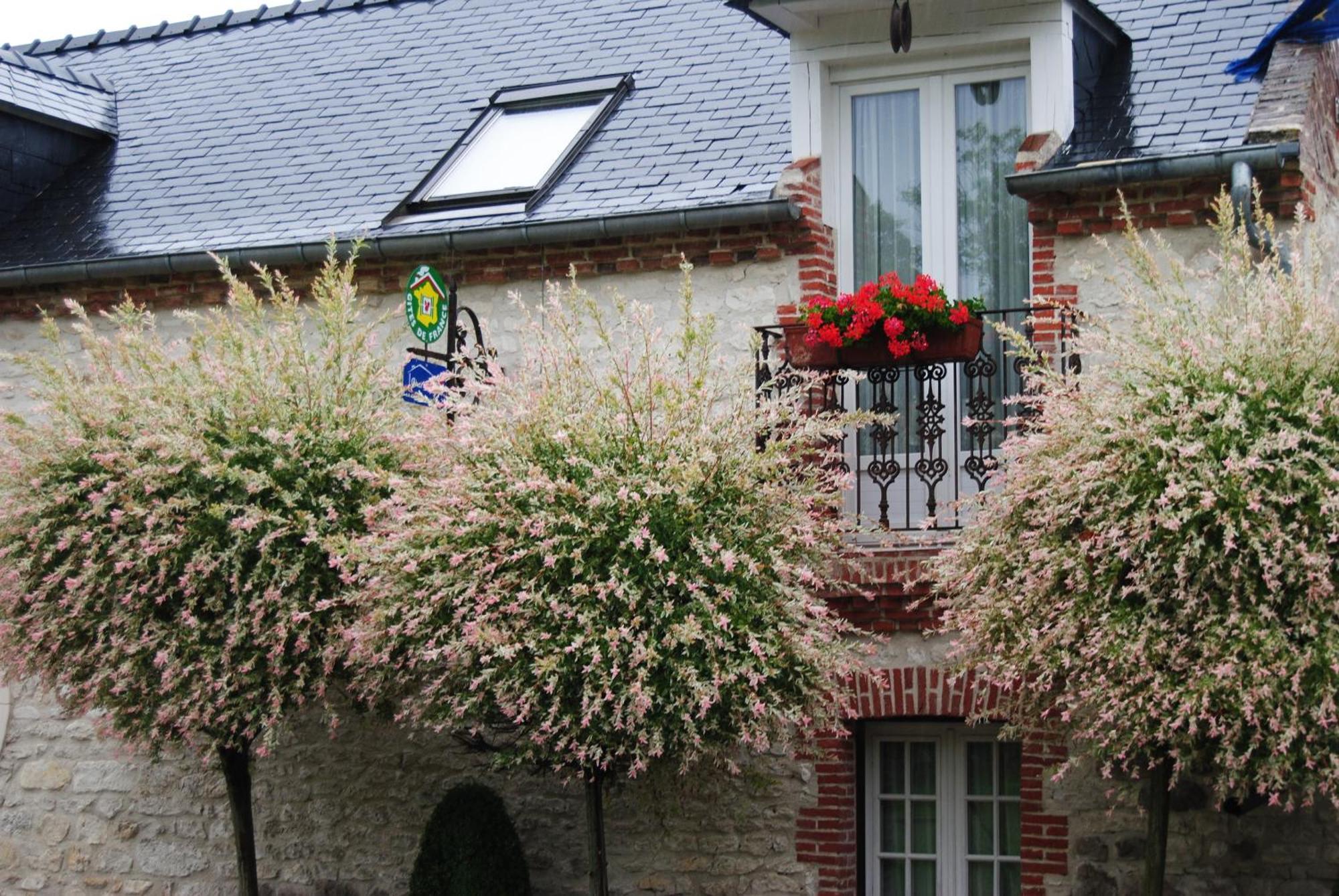 Le Grand Logis - Guest House - Bed And Breakfast Marchais  Cameră foto